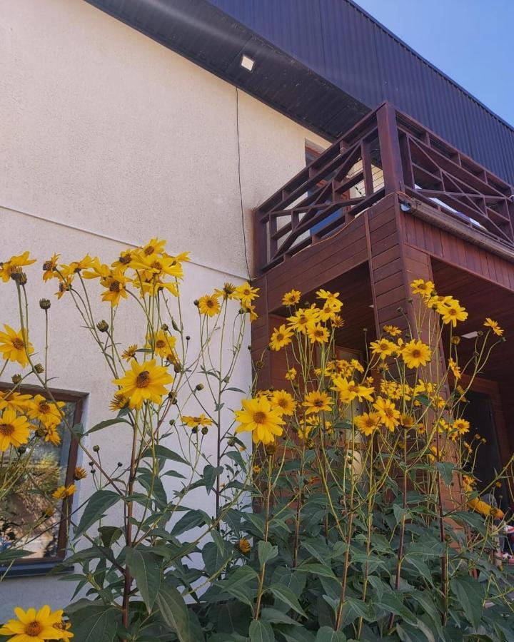 Guest House Tenir Too Naryn Exterior foto
